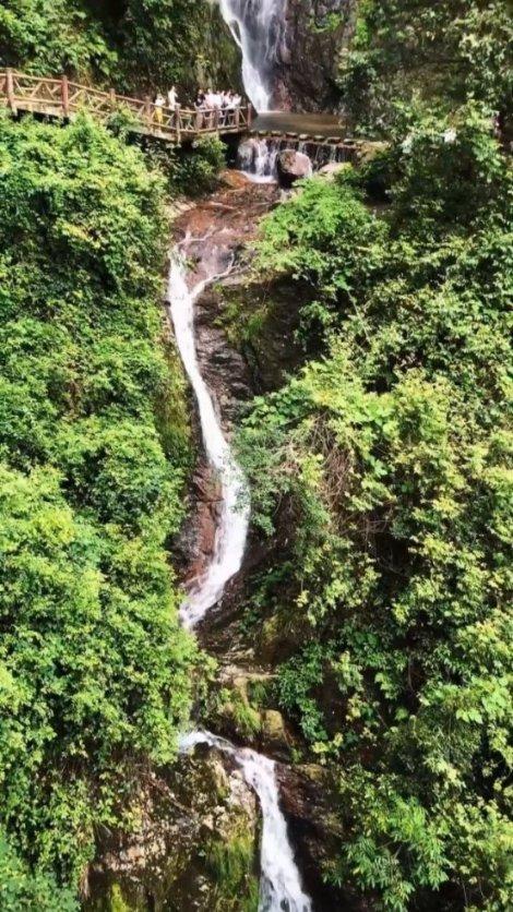 如何评价阿雅担任制片人的综艺《奇遇人生》?-专业知识问答网页